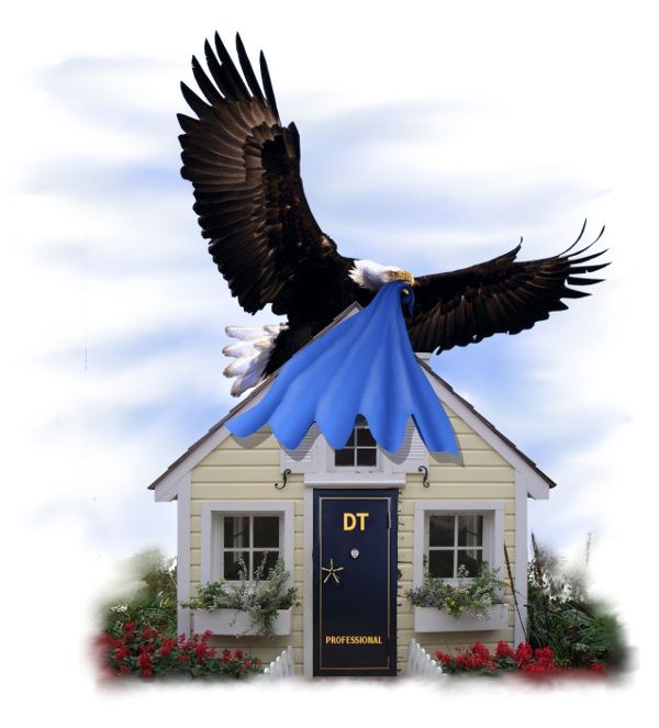 DT Professional Home Watch Services Inc. - Cover photo
