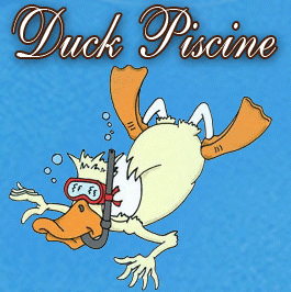 Duck Piscine - Logo