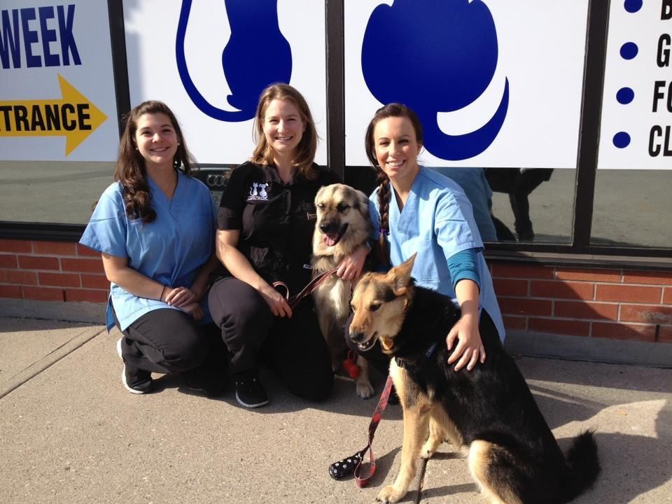 Dufferin-Steeles Animal Hospital - Cover photo