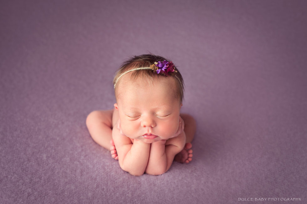 Dulce Baby Photography - Logo