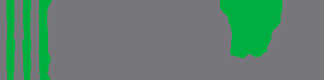 Dulude IT - Logo