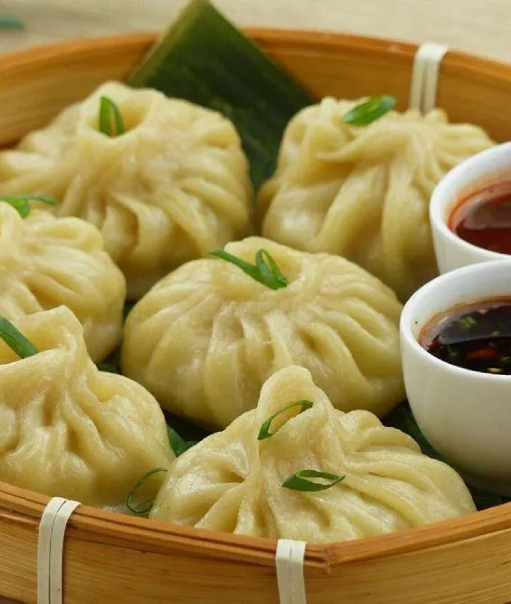Dumplings of Dehradun - Logo