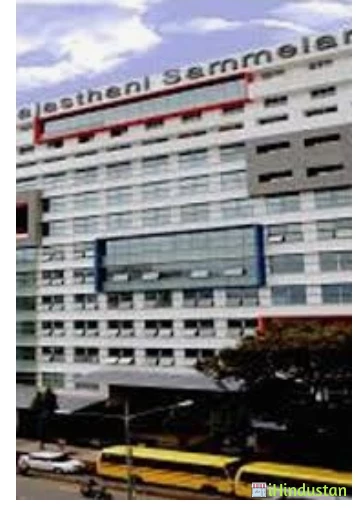 Durgadevi Saraf Institute of Management Studies - DSIMS - Logo
