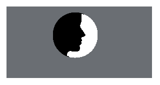 Durham Orthodontic Centre - Logo