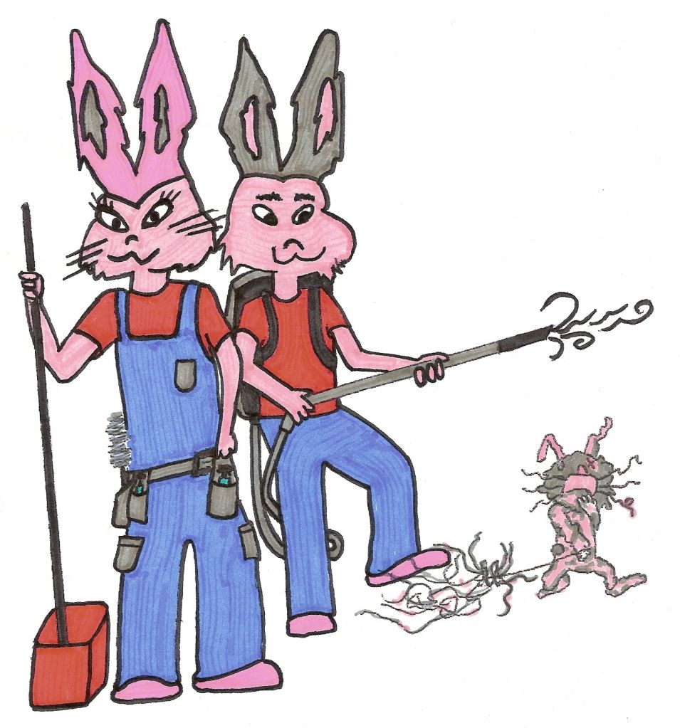 Dust Bunnies - Logo