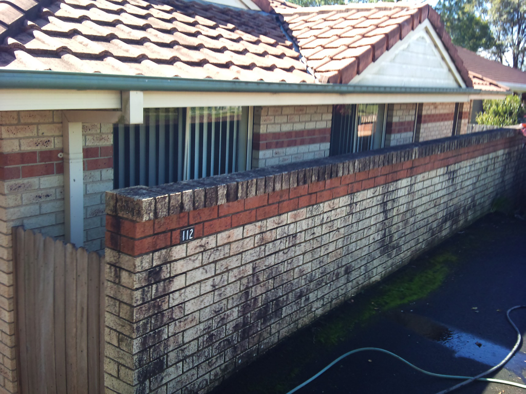 Dusty Miller External Cleaning - Logo