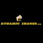 Dynamic Images - Logo