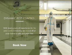 Dynamic Pest Control - Logo
