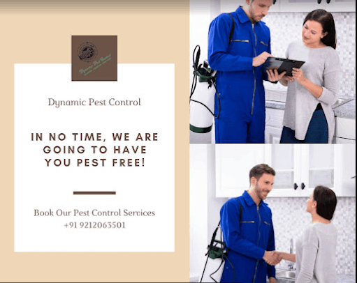 Dynamic Pest Control - Cover photo
