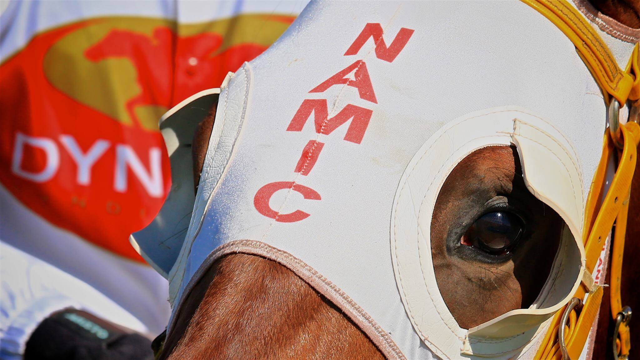 Dynamic Syndications - Cover photo