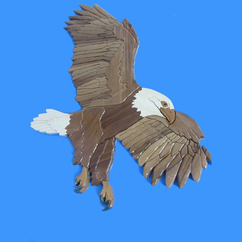 Eagle Eye Bookkeeping Ltd - Logo