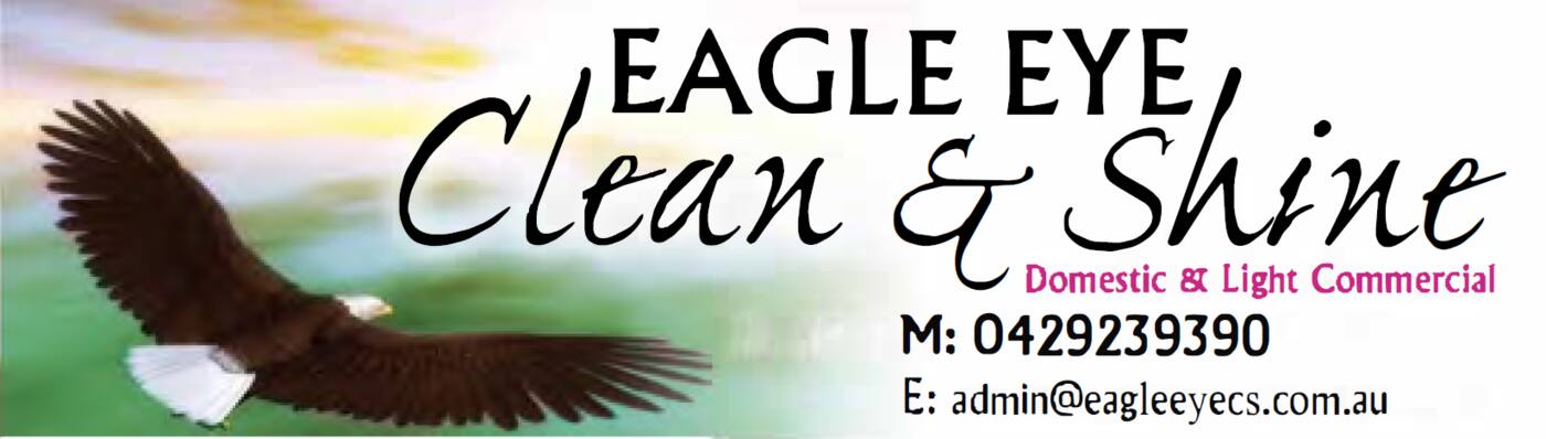Eagle Eye Clean & Shine - Cover photo