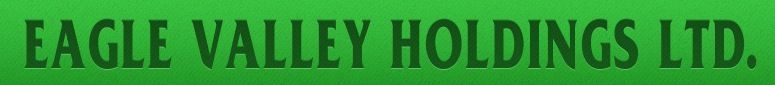 Eagle Valley Holdings Ltd - Logo