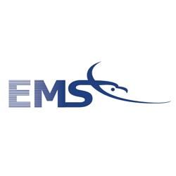 Eagleview Managed Services - Logo