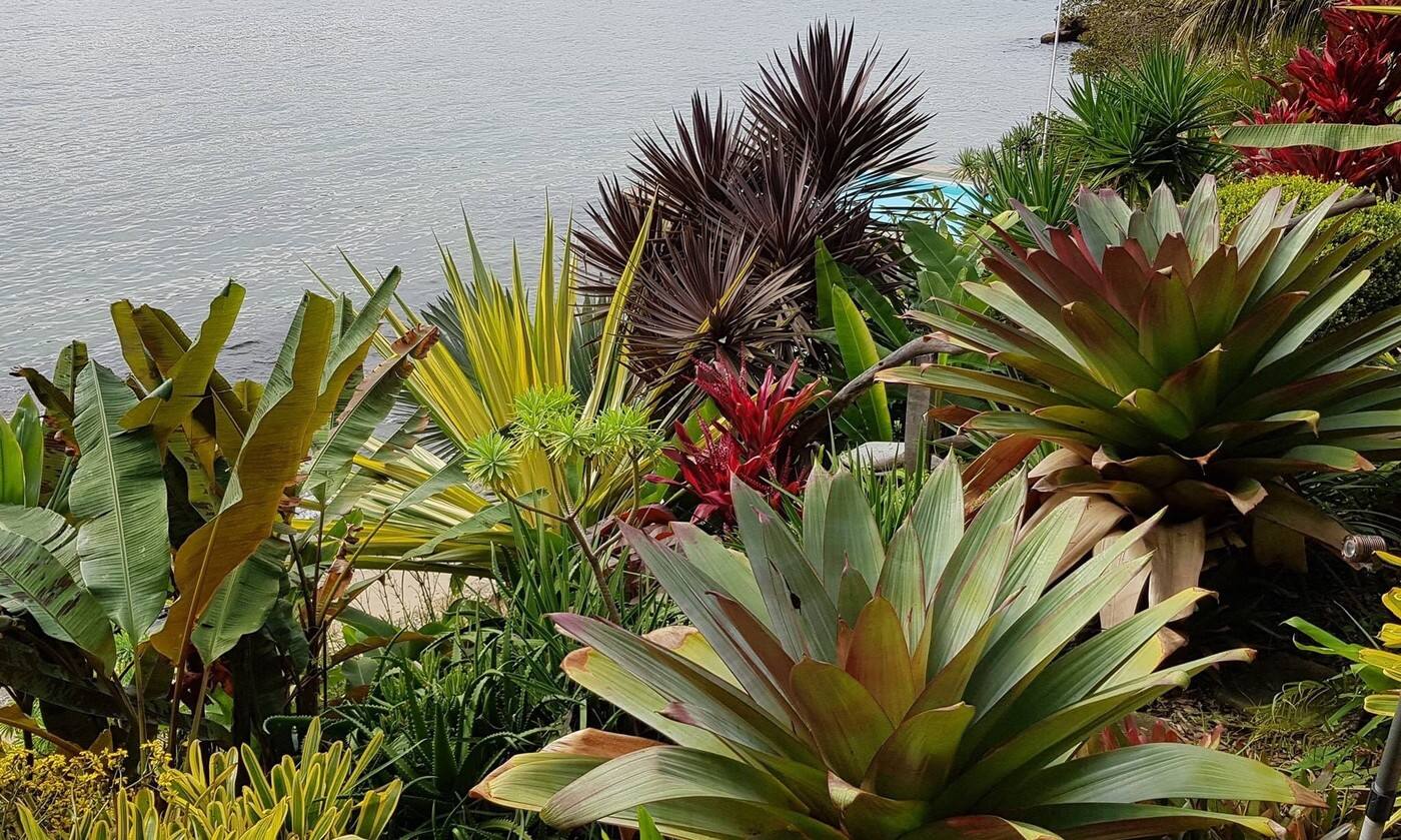 Easts Landscapes & Garden Services - Cover photo