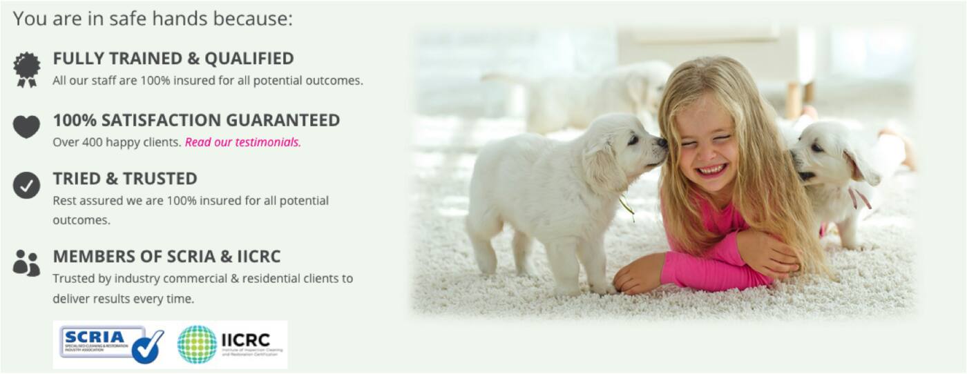 Eco Plus Carpet Cleaning - Cover photo