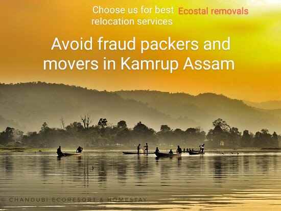 Ecostal Removals - Cover photo
