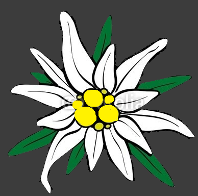 Edelweiss Environmental Inc. - Logo