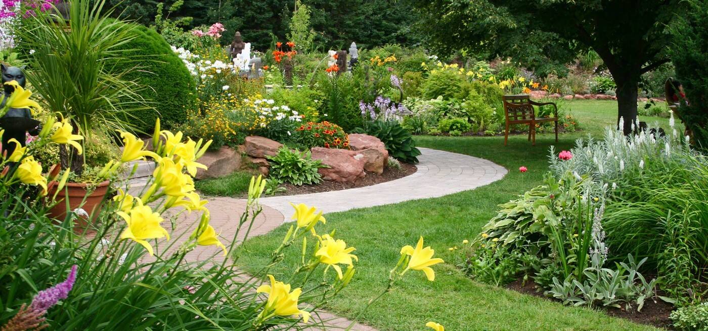 Eden Garden Care Port Macquarie - Cover photo