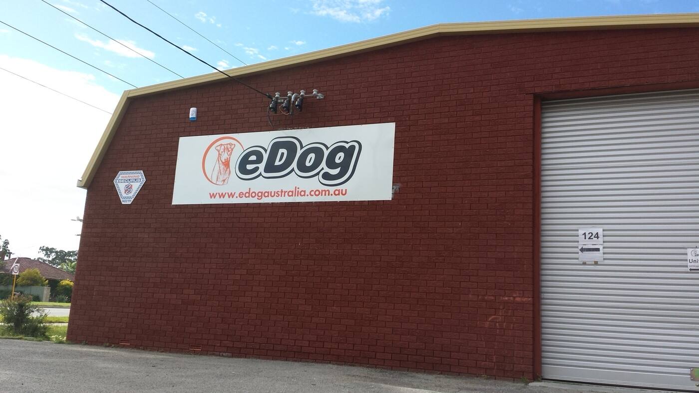 eDog - Cover photo