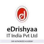 Edrishyaa It India Pvt Ltd - Logo