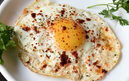 EGG PLANET - Logo