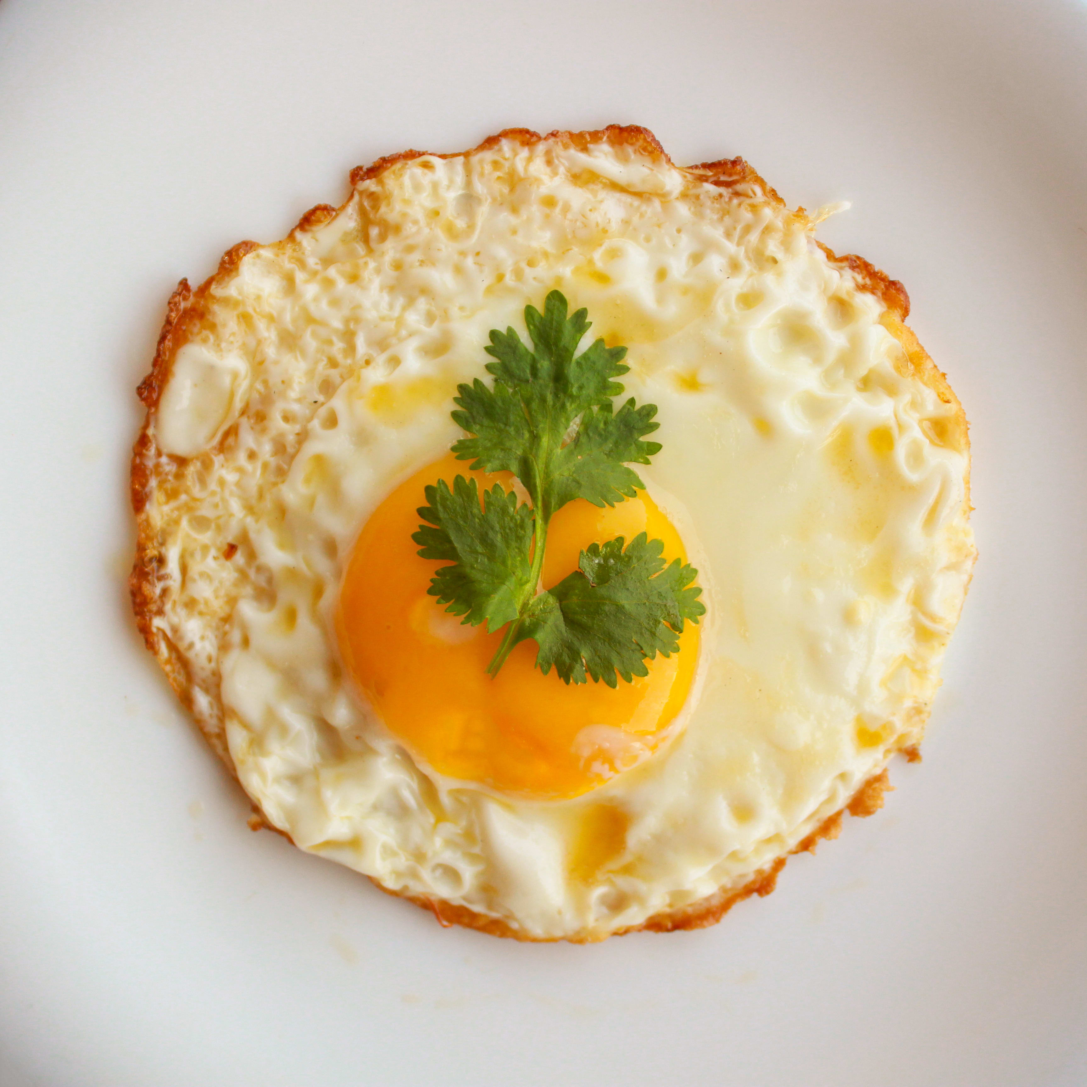 Eggs Point - Logo