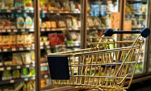 Egroceryshop - Logo
