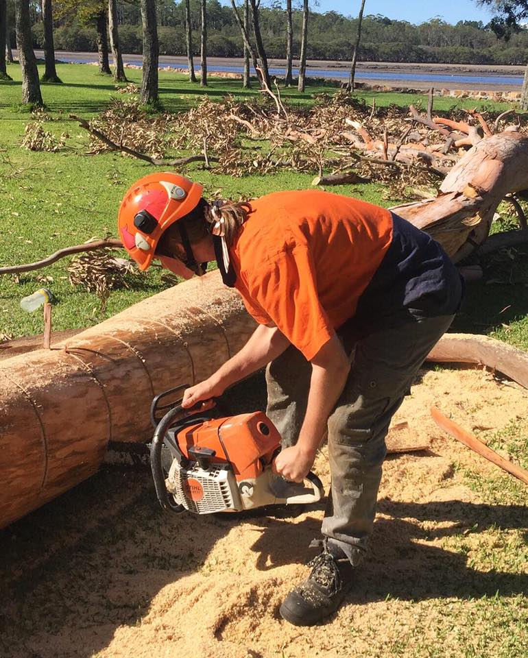El Cheapo Tree Service - Logo