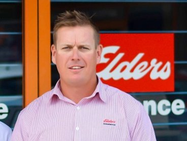 Elders Insurance Newcastle - Cover photo