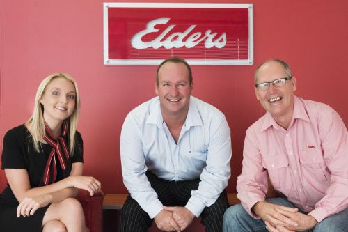 Elders Insurance - Logo