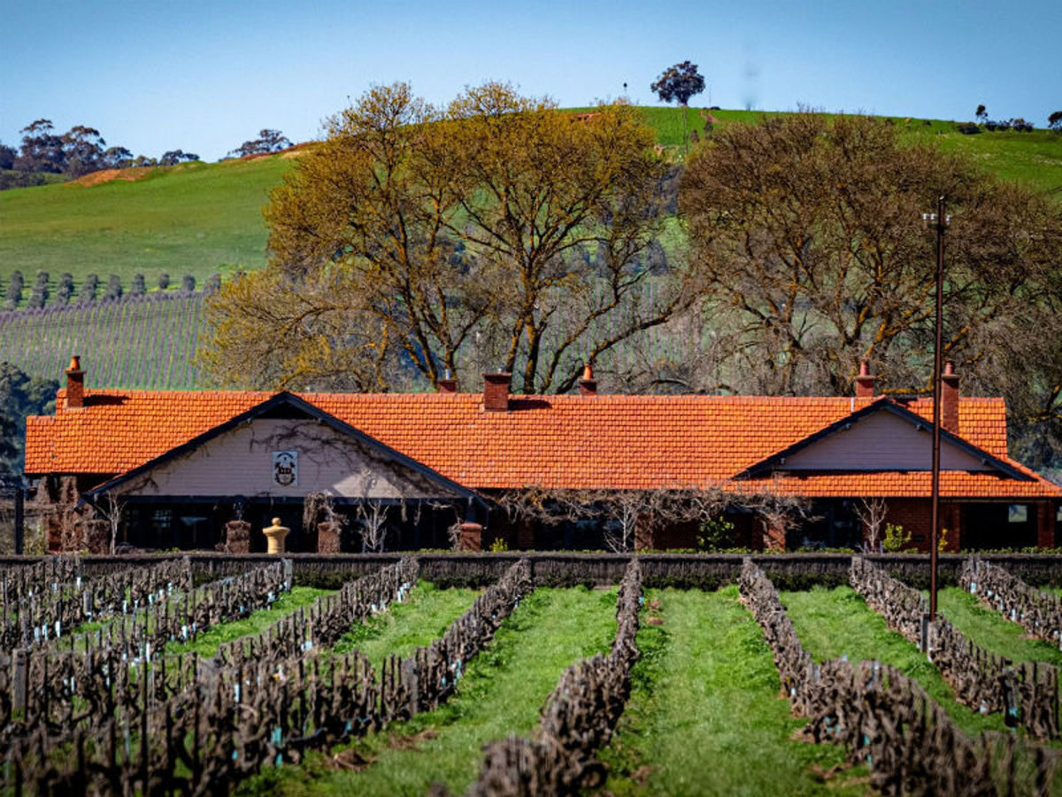 Elderton Wines - Logo