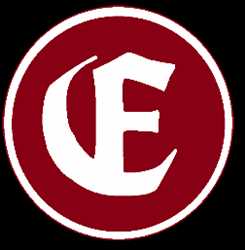 Electrosol 342060 - Logo