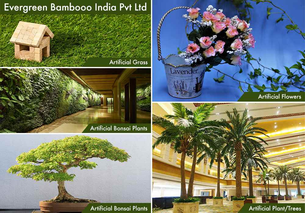 Elen Blossoms And Greens Ltd - Cover photo