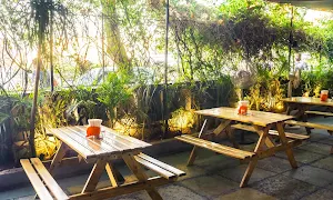 Elephant & Co - Cover photo