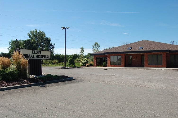 Elgin Animal Hospital - Logo