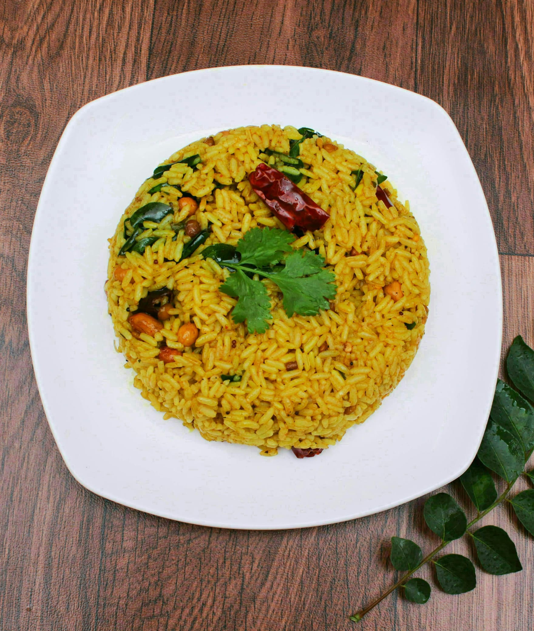 ELITE FOOD COMPANY - Logo