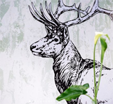 Elk Espresso - Logo