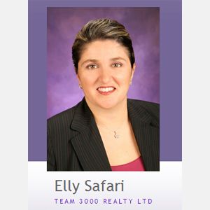 Elly Safari Team 3000 Realty LTD - Logo