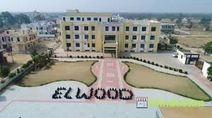 ELWOOD INTERNATIONAL SCHOOL - Logo