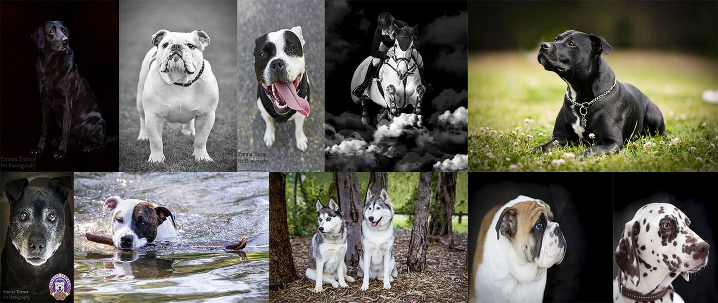 Emma Turner Photography - Cover photo