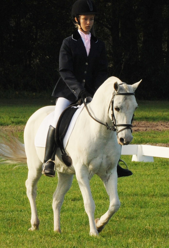 Encantador The Riding School - Logo