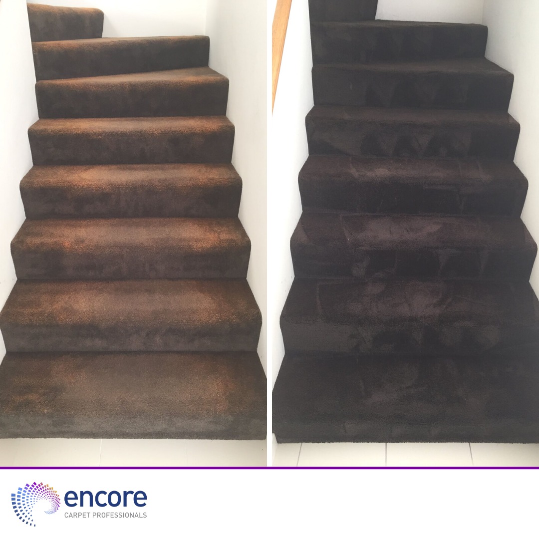 Encore Carpet Professionals - Logo