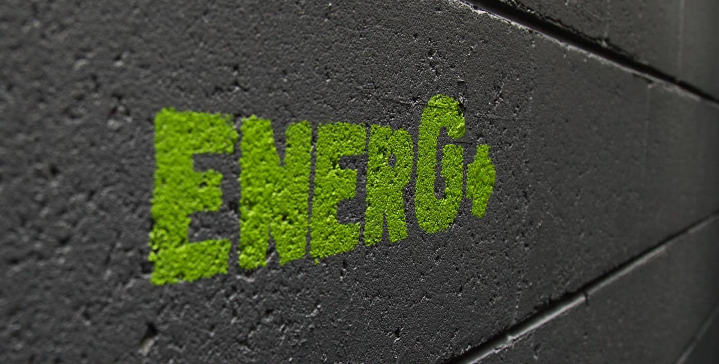 enerG+ - Logo