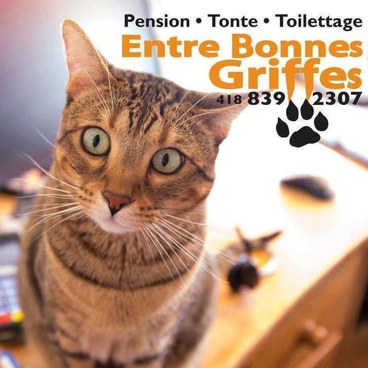 Entre Bonnes Griffes - Cover photo