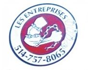 Entreprises DSL Inc. - Logo