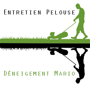 Entretien Pelouse Déneigement Mario - Logo