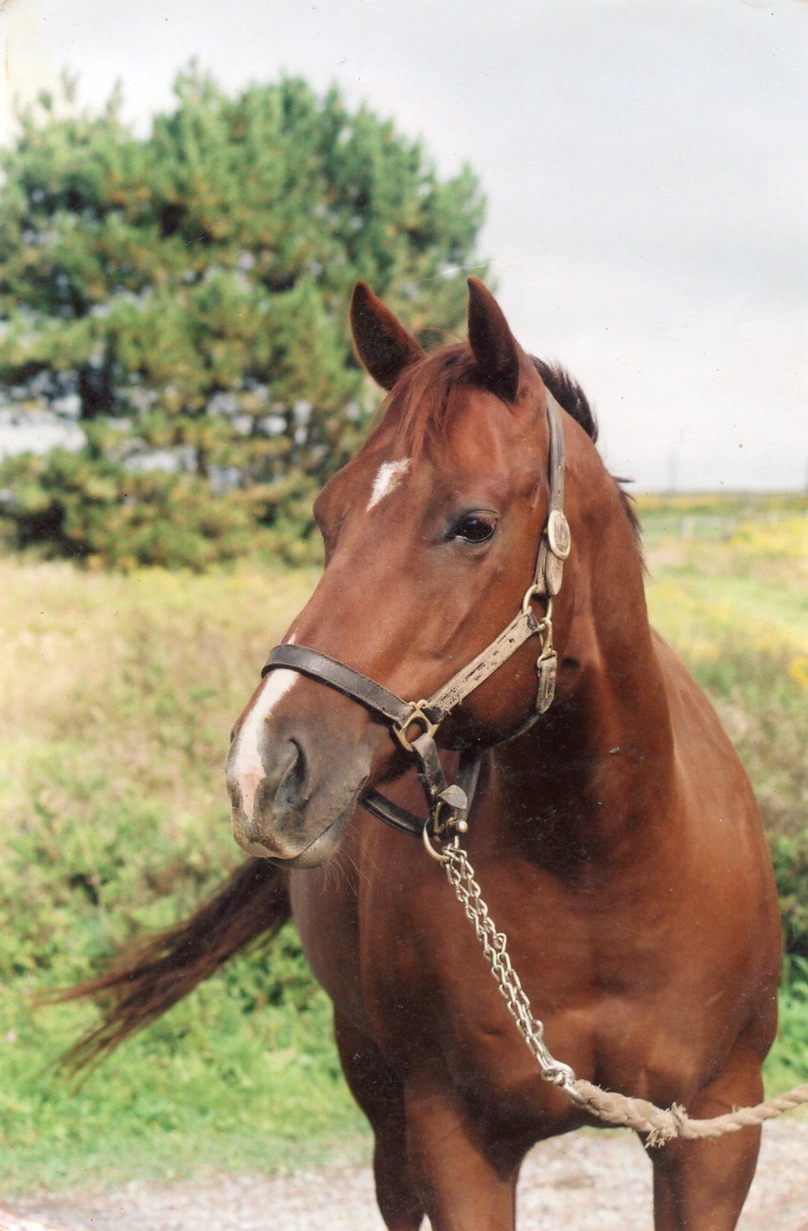 equerry consulting - Cover photo