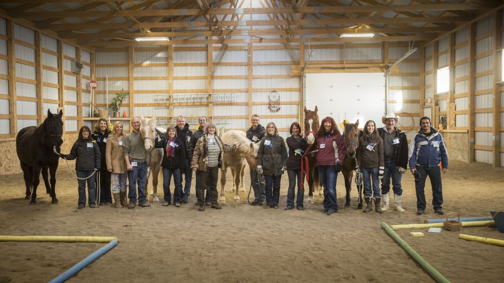 Equine Connection Inc - Logo
