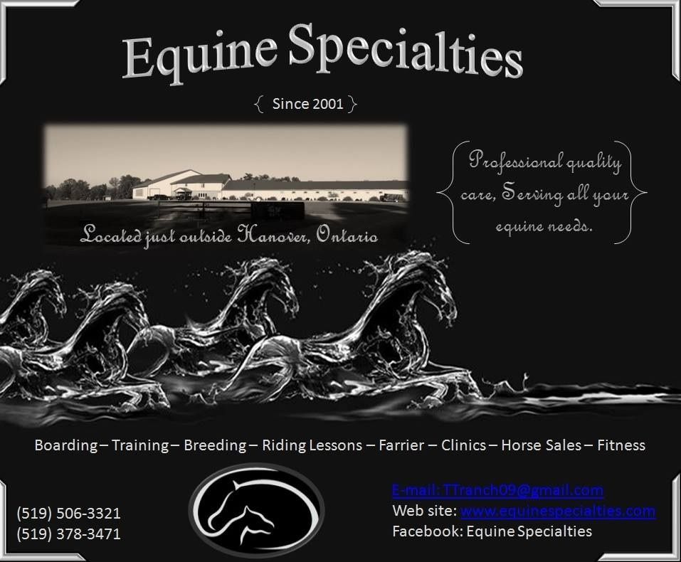 Equine Specialties - Cover photo